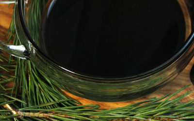 Natural coniferous extract